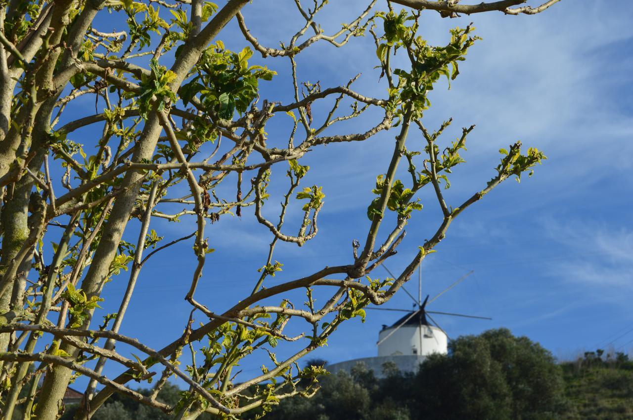 Quinta Do Piloto Guest House Palmela Exterior photo